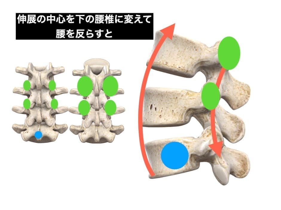 腰椎の動き